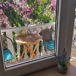 Toto Apartments Zadar